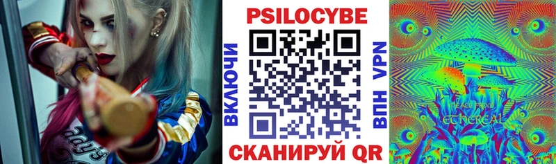 Купить где  Мытищи  Псилоцибиновые грибы Cubensis 